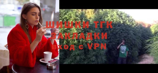 гашик Заволжье