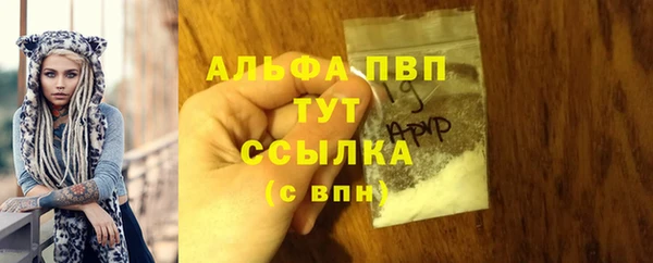 гашик Заволжье