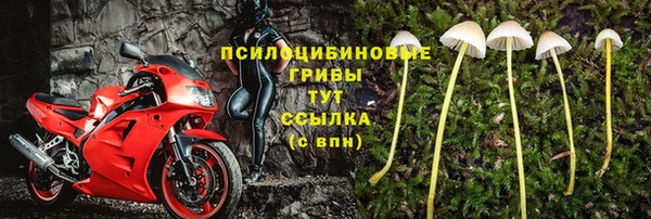 гашик Заволжье