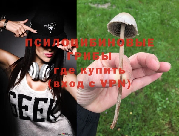 гашик Заволжье