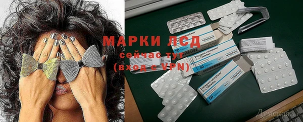 гашик Заволжье