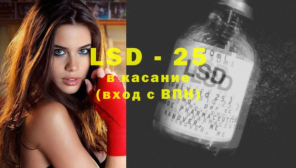 ГАЛЛЮЦИНОГЕННЫЕ ГРИБЫ Заволжск