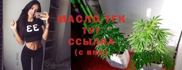 мдпв Заводоуковск